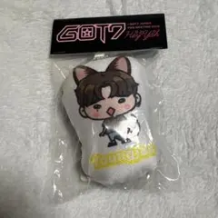 2026年最新】got7 ジニョン ぬいぐるみの人気アイテム - メルカリ