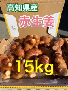 生姜 しょうが 20kg 高知県産 B級品 - メルカリ