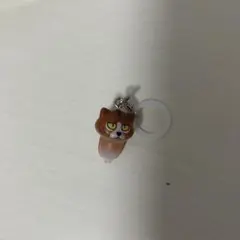 なめこ栽培キット　めじるしアクセサリー2