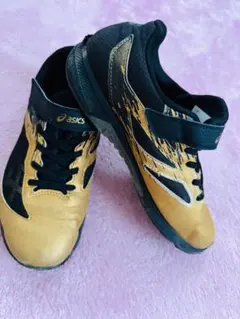 ASICS レーザービーム　25cm