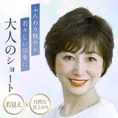 フルウィッグ ショート ボブ ダークブラウン レディース かつら 医療用 大人