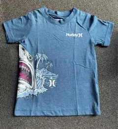 Item thumbnail for item 46822832-66f3-467d-a8a4-c8a1eb330f7a