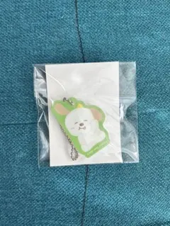 マグネットアクリルチャーム　R アントン