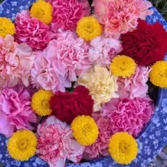 Stein様 リクエスト 4点 まとめ商品