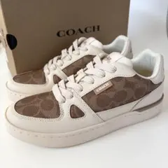 Item thumbnail for item 293054b2-6824-459f-8822-61631c88d360