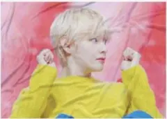 bts テヒョン マスターブランケット