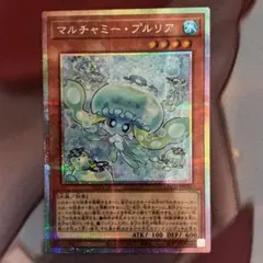 マルチャミー・プルリア　プリシク