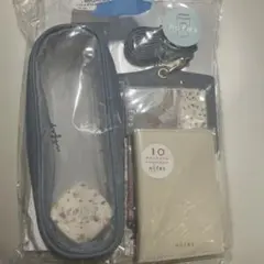 Item thumbnail for item e2861e11-7fe1-4303-8608-af239f937191