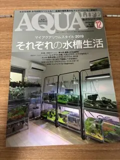 Item thumbnail for item f6f9927d-6575-4224-9ce6-7b99e8cad98c