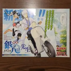 ジャンプSQ 切り抜き☆2026年2月号☆３年Ｚ組　銀八先生☆カラー付き☆　銀魂