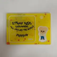 Stray Kids スンミン アクリルスタンド