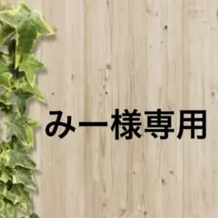 みー 様専用ページです