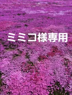 すぐに飾れる！大輪の紫陽花が美しい花束＆漆黒の花瓶が涼やかで