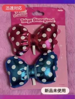 新品未使用♡ディズニーパルパルーザ　ミニーのファンダーランド　ミニーパッチン