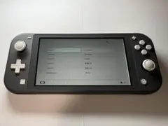 【24Ｈ以内発送】【ジャンク】Switch Lite グレー 本体のみ　液晶不良