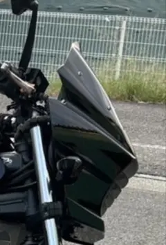 MT-25 MT-03 ネイキッド・スクリーン PowerBronze - メルカリ