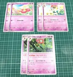 24時間以内発送！ フラべべ フラエッテ フラージェス 進化ライン