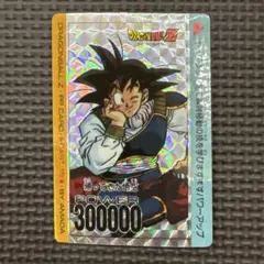 ドラゴンボール　PPカード