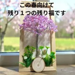 晴楓様 リクエスト 2点 まとめ商品