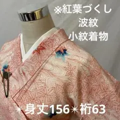 小紋 着物 紅葉づくし 波紋 正絹 広衿 袷YK-879