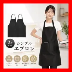 エプロン 2枚セット 黒 ポケット付き シンプル キッチン 作業 ワークエプロン