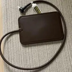 猫　小動物　ホットカーペットのサムネイル
