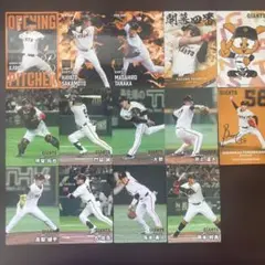 読売ジャイアンツ　プロ野球オーナーズリーグカード　164枚セット 読売ジャイアンツ プロ野球オーナーズリーグカード 164枚セット
