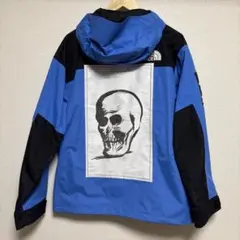 THE NORTH FACE ノースフェイス　シュプリーム　マウンテンジャケット