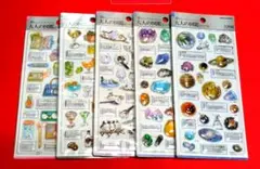 m*i様 大人の図鑑シール 3D 立体 シマエナガ 大人の図鑑 ステッカー シー