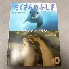 たくさんのふしぎ 2024年10月号 アシカとアザラシ