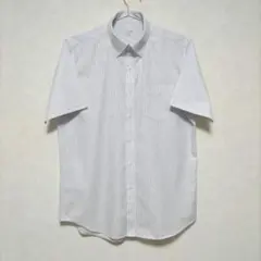 D'URBAN　隠しボタンダウン ストライプ S/S シャツ　43　ホワイト