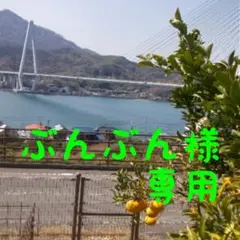 ぶんぶん様専用です