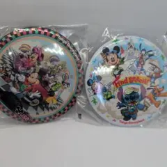 東京ディズニーランド 缶バッジ 2個セット