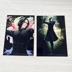 ハリーポッター ブロマイドコレクション スネイプ