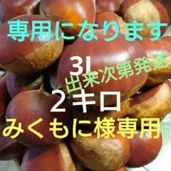 笠間市岩間の栗 みくもに様 専用