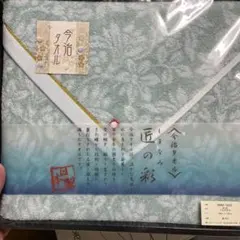 Item thumbnail for item c5768ef9-68d7-4ccf-a35f-8aba619ed4c4