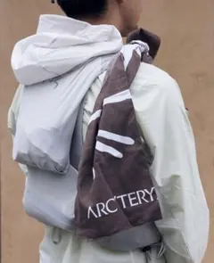 アークテリクス 手ぬぐい 2026年最新】ARC'TERYX 手ぬぐいの人気アイテム - メルカリ