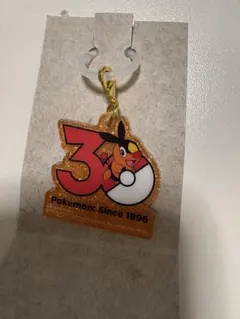 ポケモン 30周年 メモリアルチャーム ポカブ
