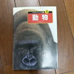 動物