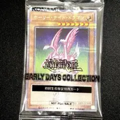 2025年最新】ホーリーナイトドラゴン 25thの人気アイテム - メルカリ