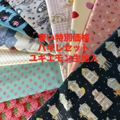 N 176 特別価格　ハギレセット　ユキエモンさん生地　アリス柄生地入　生地
