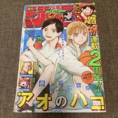 ニセコイ新連載号】週刊少年ジャンプ2011年48号 めだか裸エプロン先輩