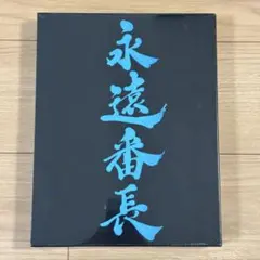 未使用 こどもの日 こいのぼり 優輝 S#15 東旭 - メルカリ