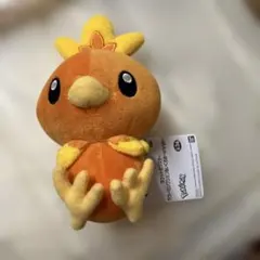 ポケットモンスター カラーセレクションぬいぐるみ アチャモ