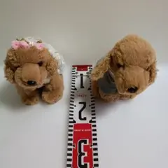 Item thumbnail for item bf93c301-f70c-40b0-9b72-7103079d8222