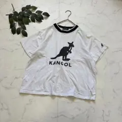 7635✾カンゴール✾Tシャツ【M】半袖カットソー/ホワイト/刺繍/プリント/綿のサムネイル