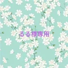 イラスト　るる様専用