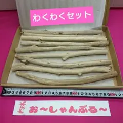 流木セットno.414