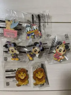 東京ディズニーリゾート ピンバッジ セット