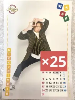 MSSP ファミマプリント　KIKKUN-MK-II 25枚セット　⑤